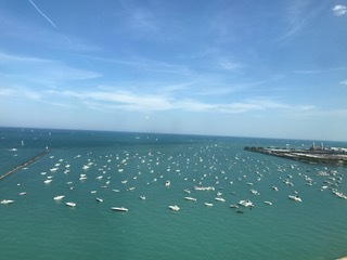 910 North Lake Shore Drive, Unit 2519 Chicago, IL 60611 - Photo 27 of 48