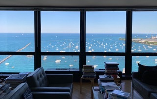 910 North Lake Shore Drive, Unit 2519 Chicago, IL 60611 - Photo 32 of 48