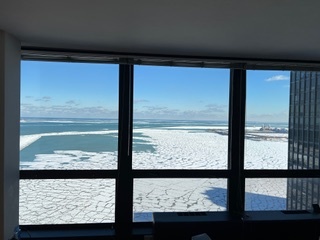 910 North Lake Shore Drive, Unit 2519 Chicago, IL 60611 - Photo 33 of 48