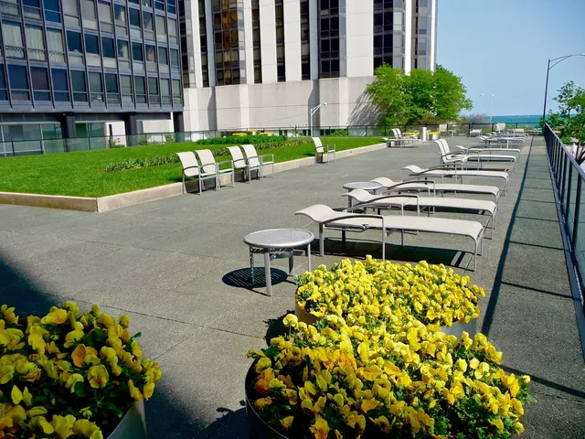 $4,500 | 910 North Lake Shore Drive, Unit 2519, Chicago, IL 60611