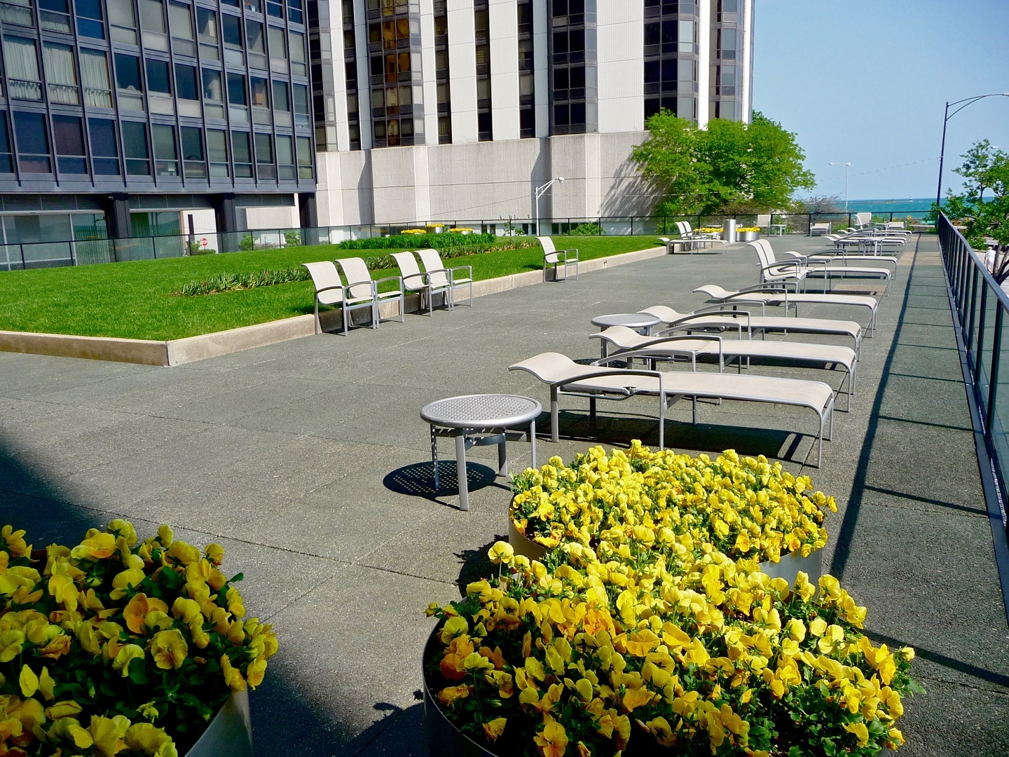 910 North Lake Shore Drive, Unit 2519 Chicago, IL 60611 - Photo 39 of 48