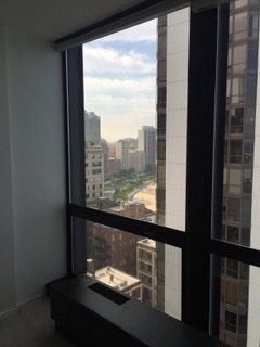 910 North Lake Shore Drive, Unit 2519 Chicago, IL 60611 - Photo 8 of 48