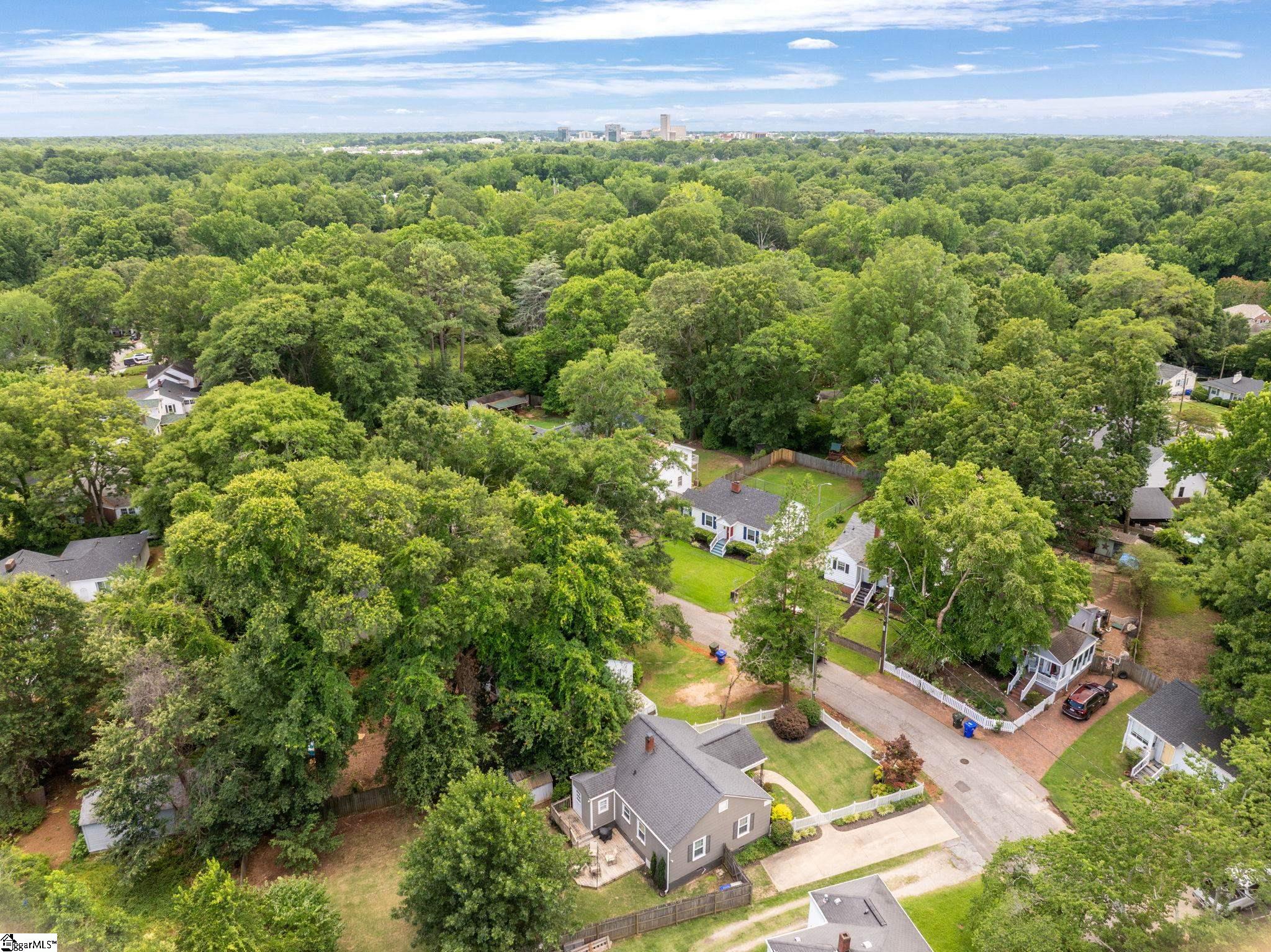 11 Tabor Street Greenville, SC 29609 - Photo 29 of 29