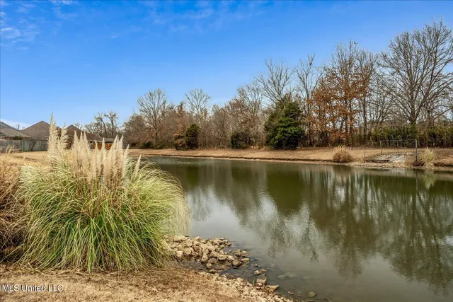 $305,000 | 4978 Graham Lake Drive, Olive Branch, MS 38654