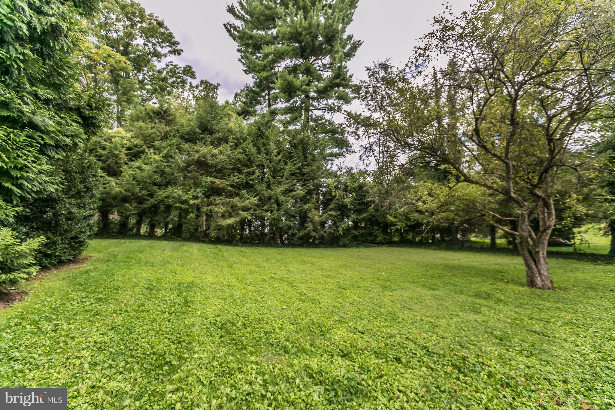 913 Army Road Baltimore, MD 21204 - Photo 28 of 29 Level yard