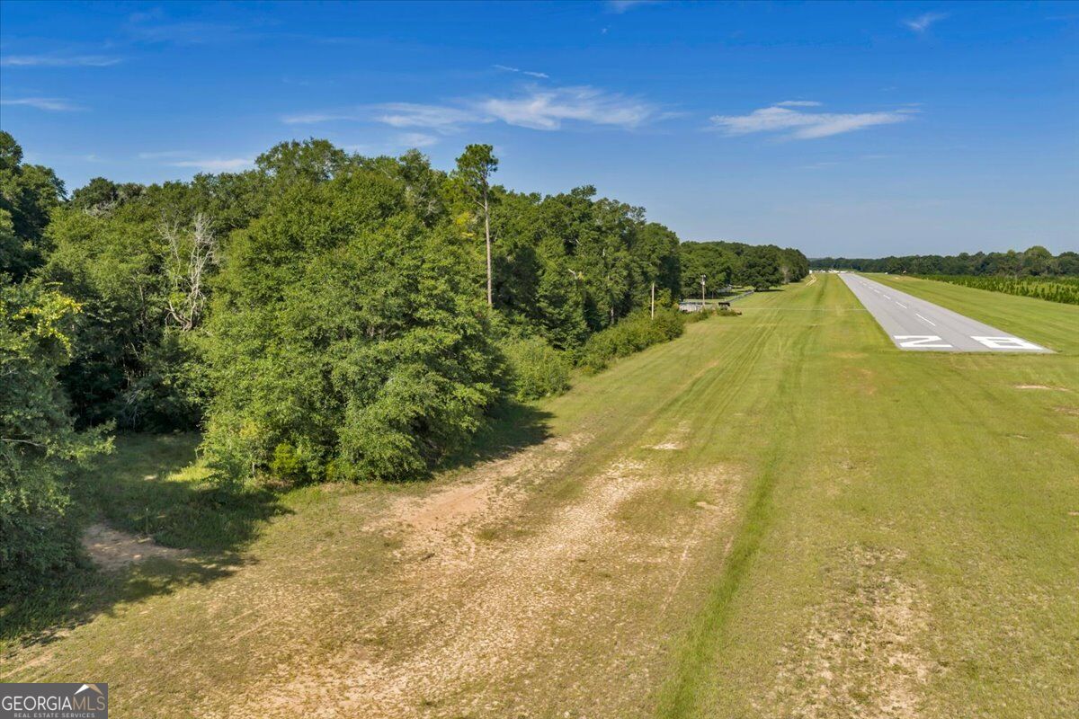 0 Airport Road Hawkinsville, GA 31036 - Photo 18 of 32 Gallery Image 18