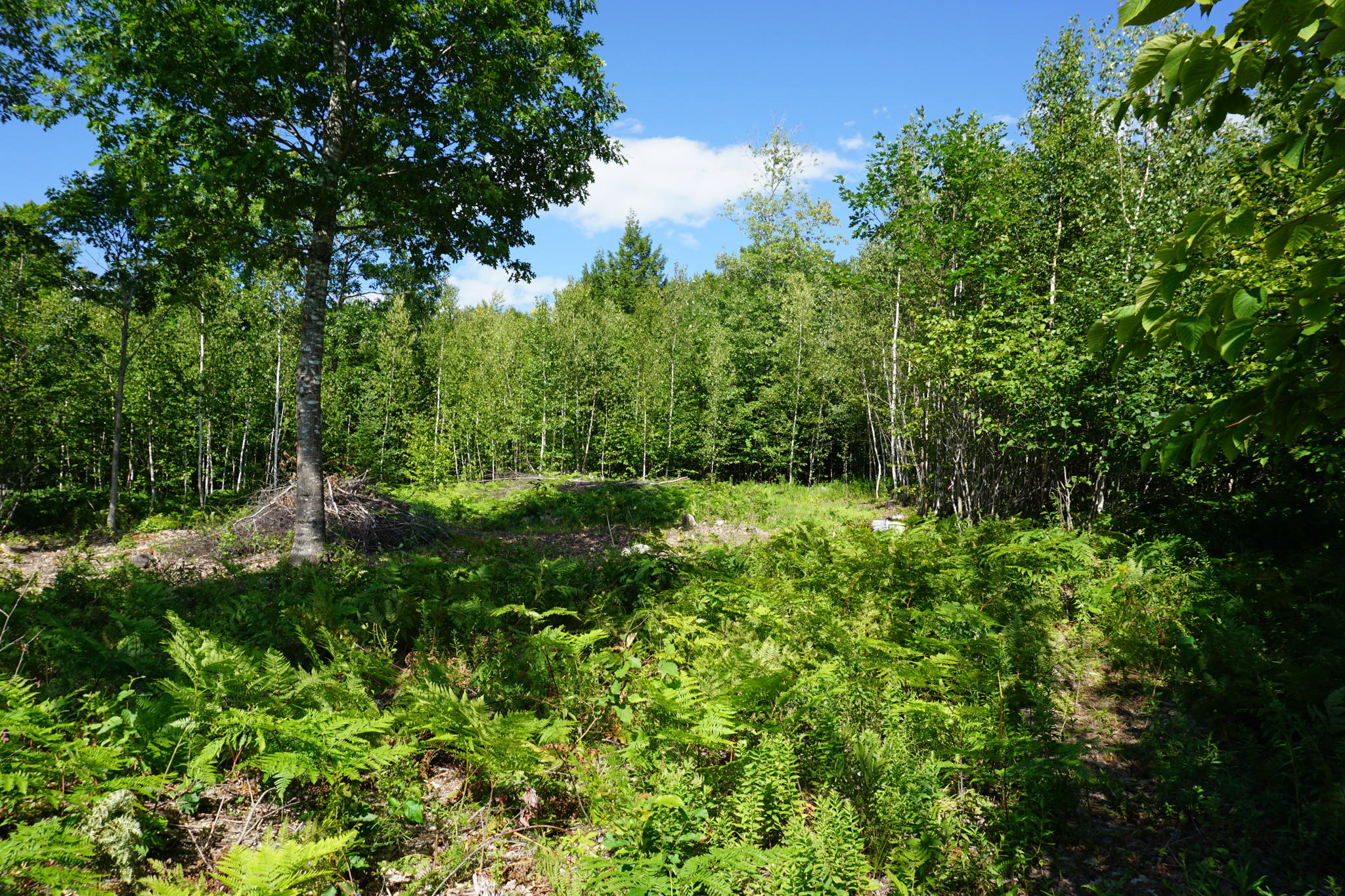 152 Skyview Road Harrison, ME 04040 - Photo 3 of 8 DSC00412-2