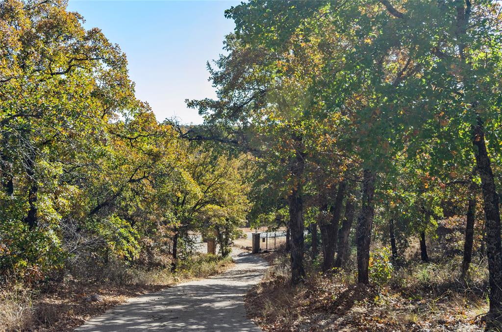396 Ranchview Court Bowie, TX 76230 - Photo 28 of 40 a view of a yard with plants and trees