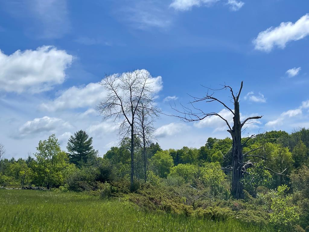 Tbd West Meadow Road Fish Creek, WI 54212 - Photo 9 of 10
