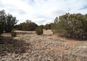 23 Co Road Concho, AZ 85924 - Photo 5 of 5 20230127210055538586000000