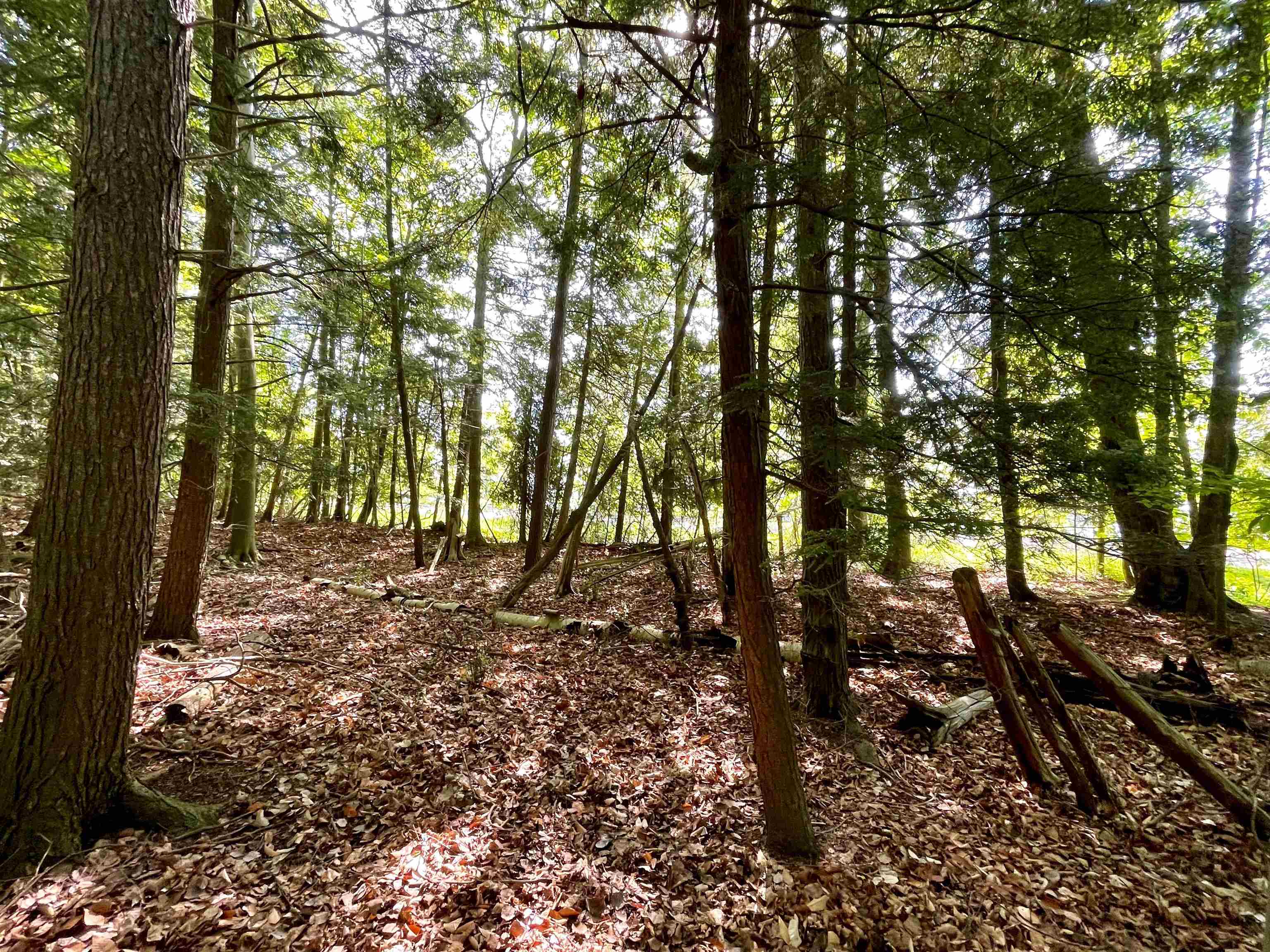 0 Bluff Road Traverse City, MI 49686 - Photo 17 of 19