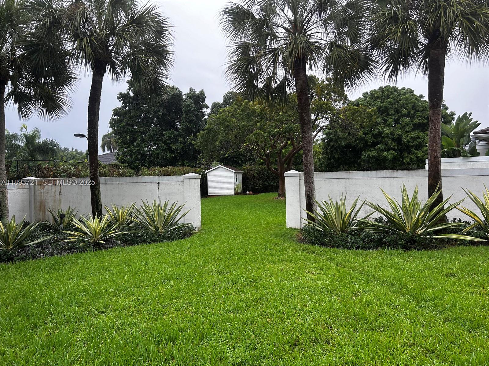a view of a yard with palm trees