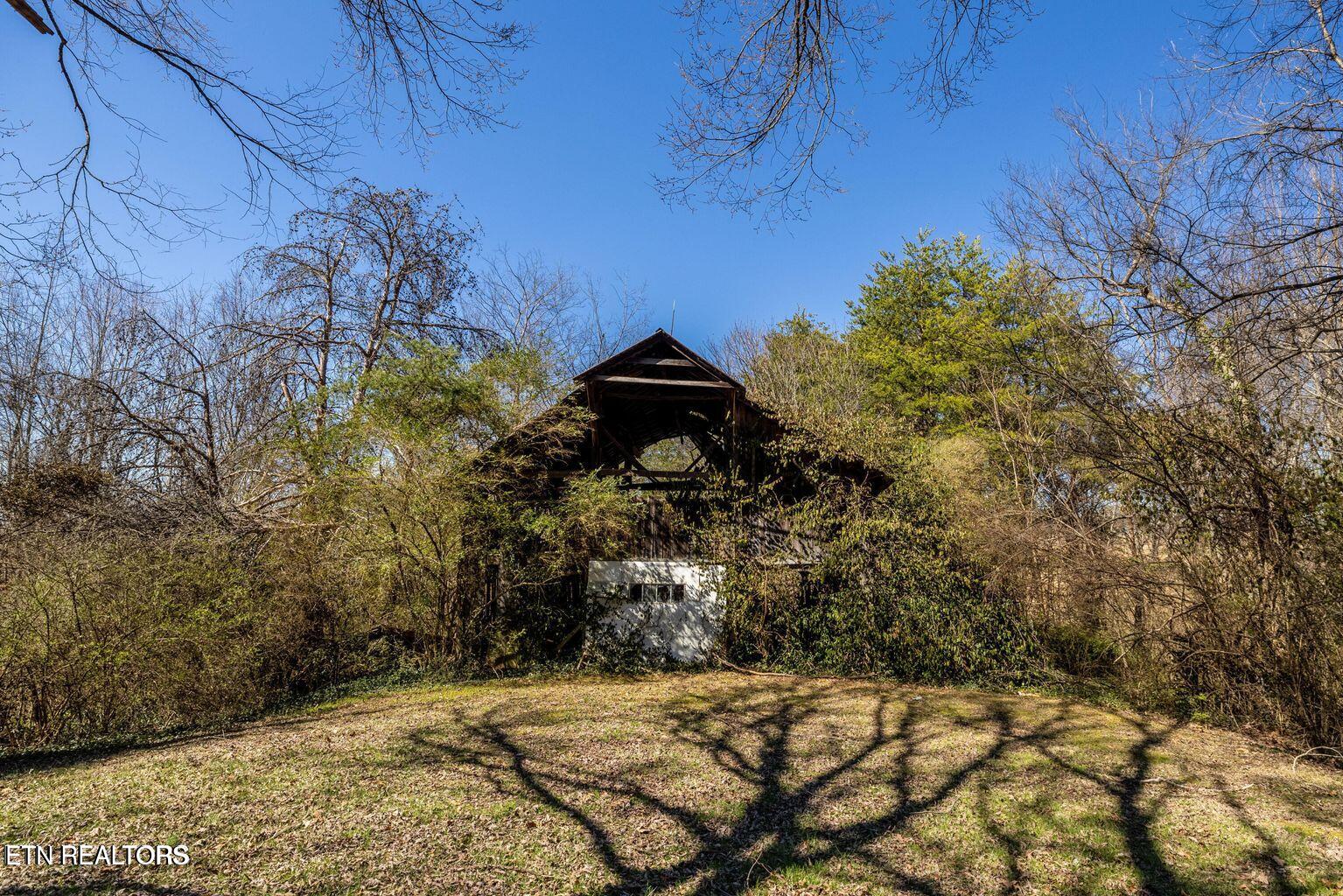 4321-4315 Old Niles Ferry Road Maryville, TN 37801 - Photo 34 of 59 Mature Trees