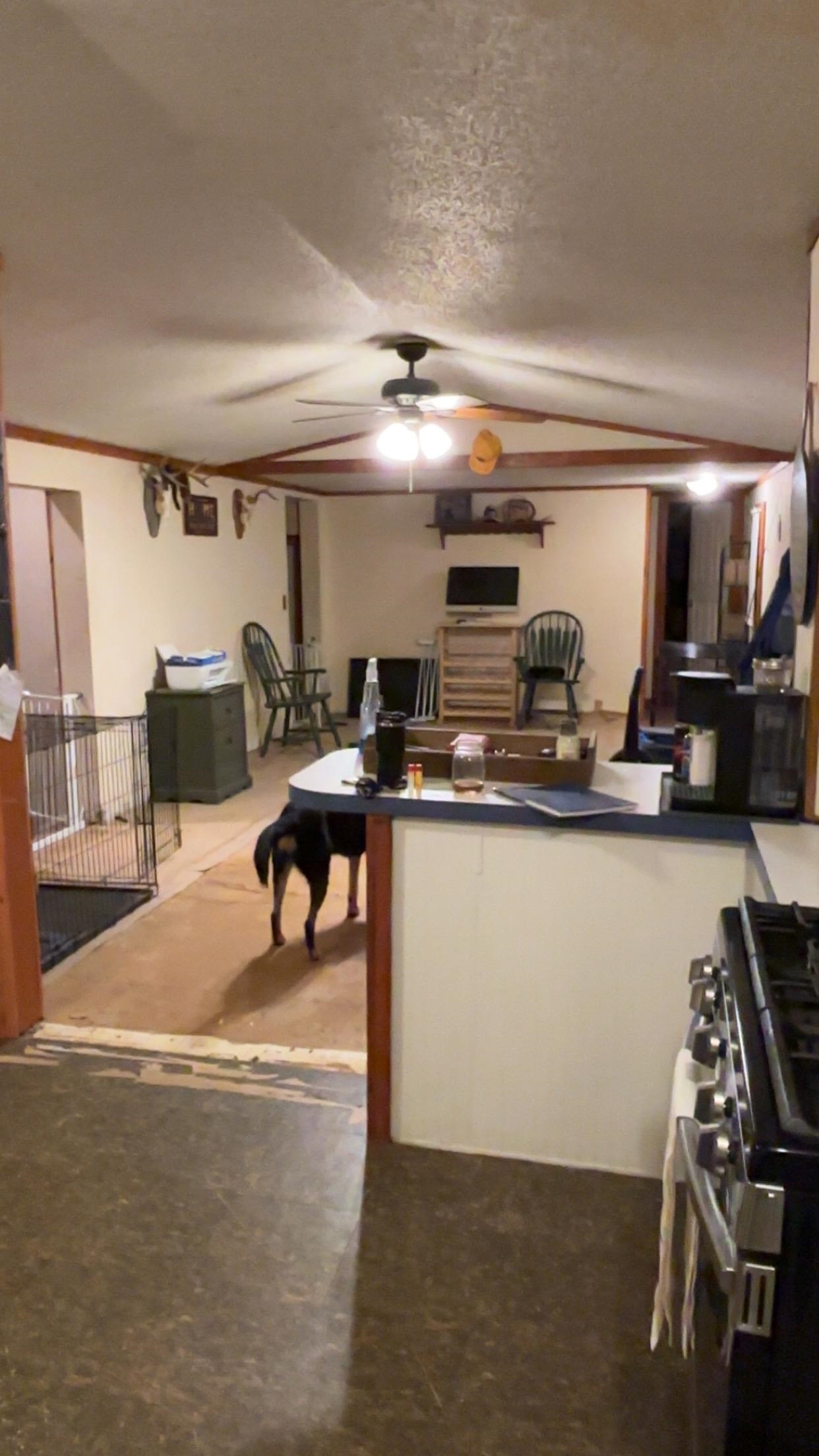47 Gray Road Barnstead, NH 03218 - Photo 5 of 9