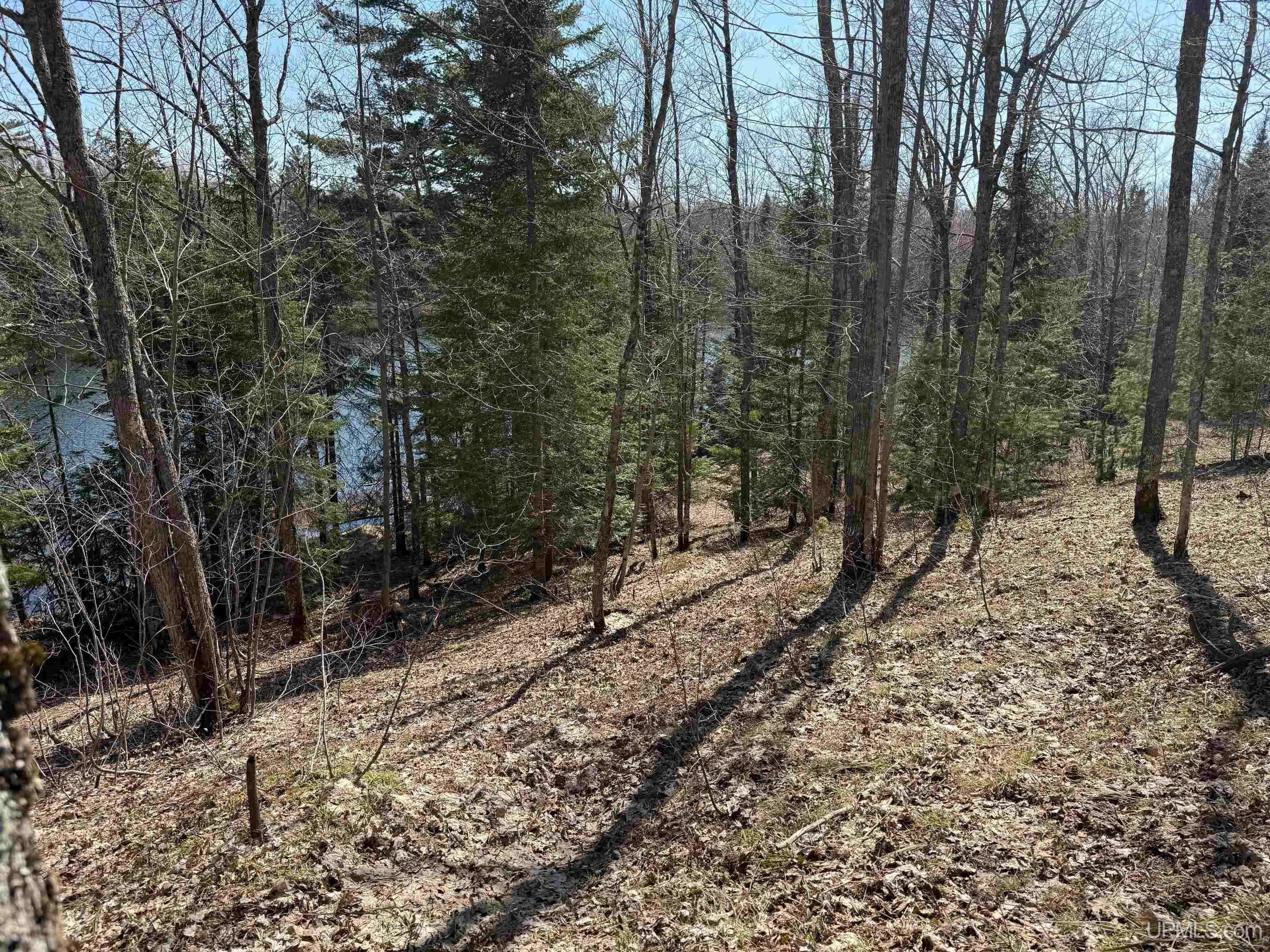 Tbdb Winona Road Toivola, MI 49965 - Photo 14 of 20