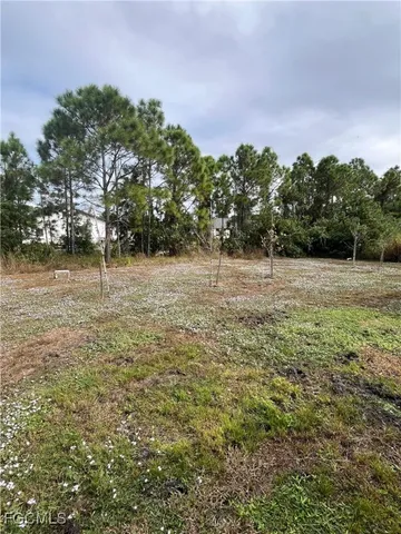 a view of a field with trees in background