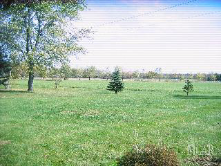 2484 Heiss Road Monroe, MI 48162 - Photo 2 of 13 953538-1.JPG