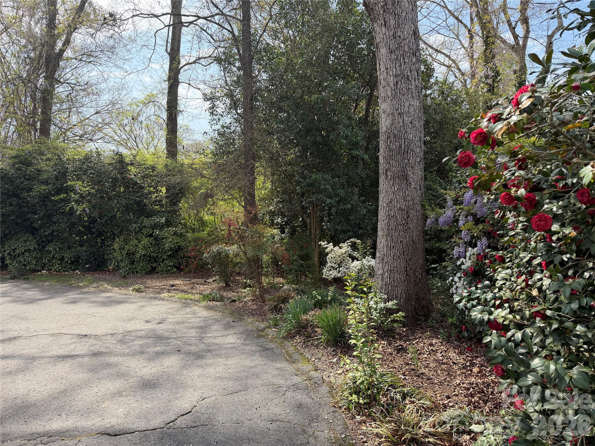 1631 Maple Avenue Albemarle, NC 28001 - Photo 14 of 48