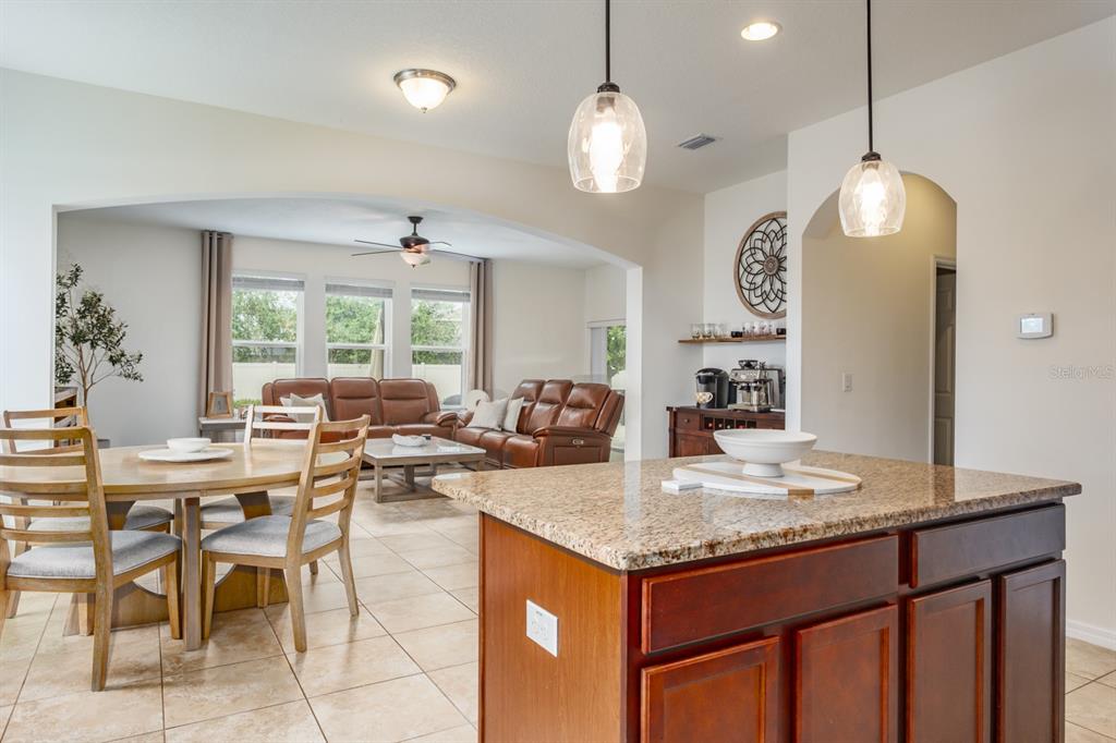 1653 Nature View Drive Lutz, FL 33558 - Photo 22 of 95