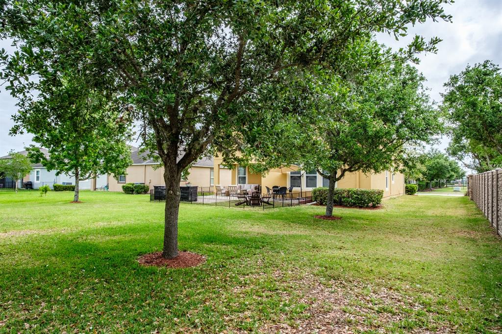 1653 Nature View Drive Lutz, FL 33558 - Photo 37 of 95