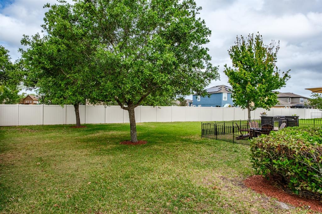 1653 Nature View Drive Lutz, FL 33558 - Photo 39 of 95