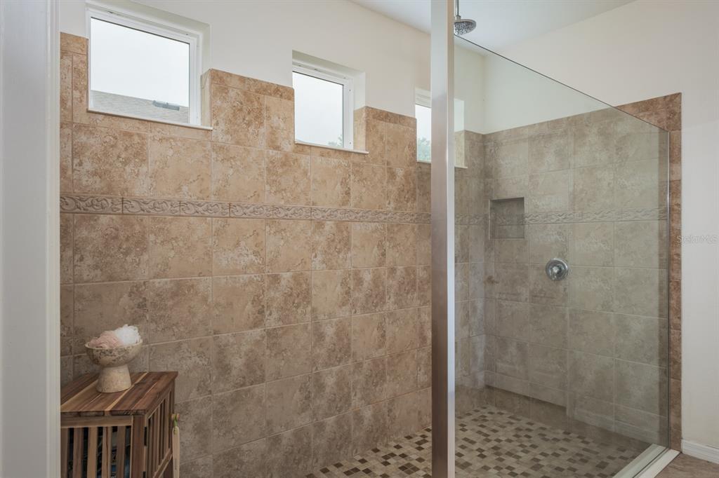 1653 Nature View Drive Lutz, FL 33558 - Photo 47 of 95