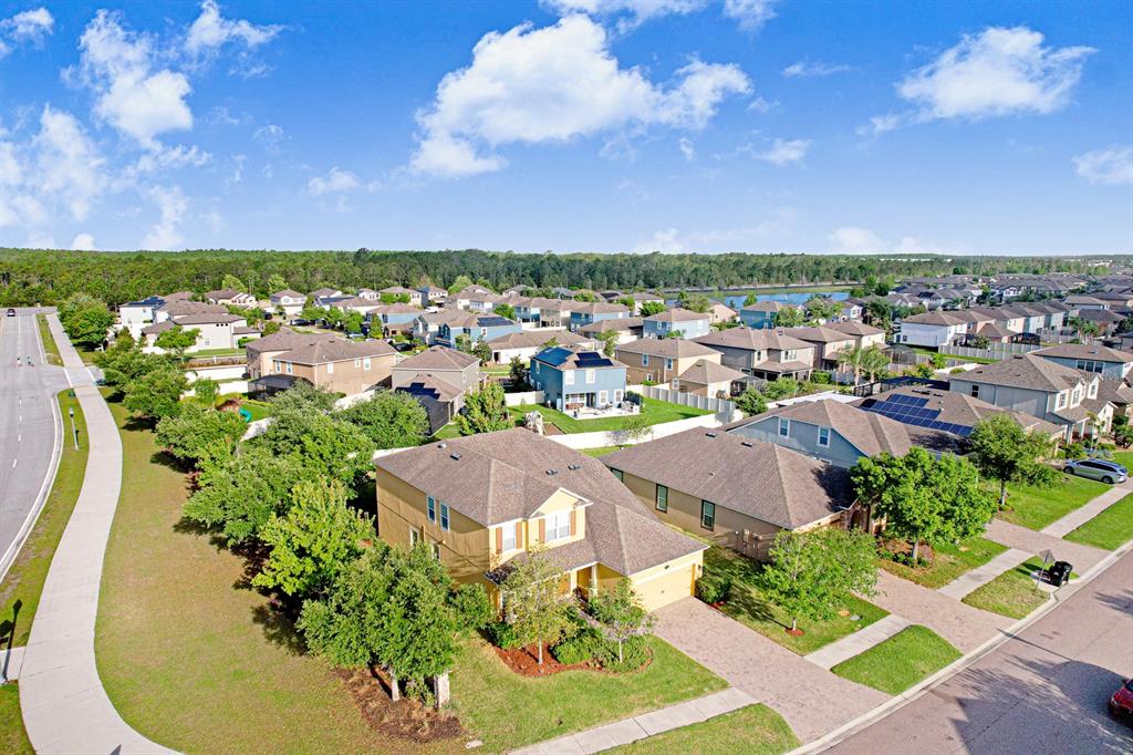 1653 Nature View Drive Lutz, FL 33558 - Photo 78 of 95