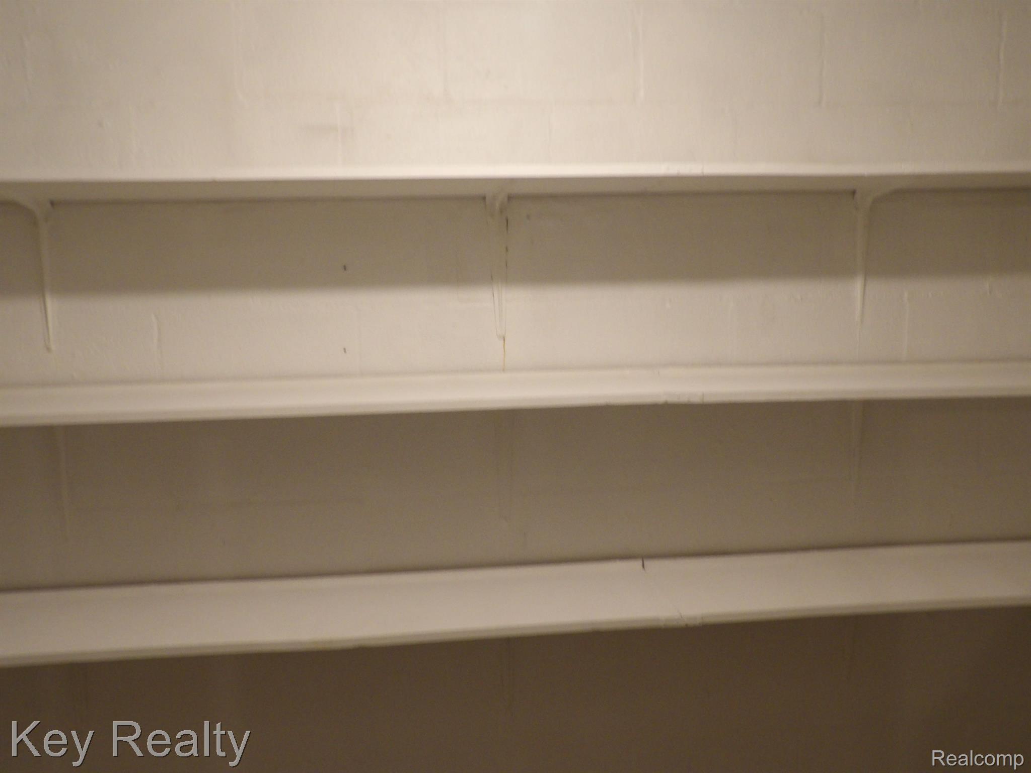 44291 Bemis Road Belleville, MI 48111 - Photo 42 of 54 Basement walk in pantry