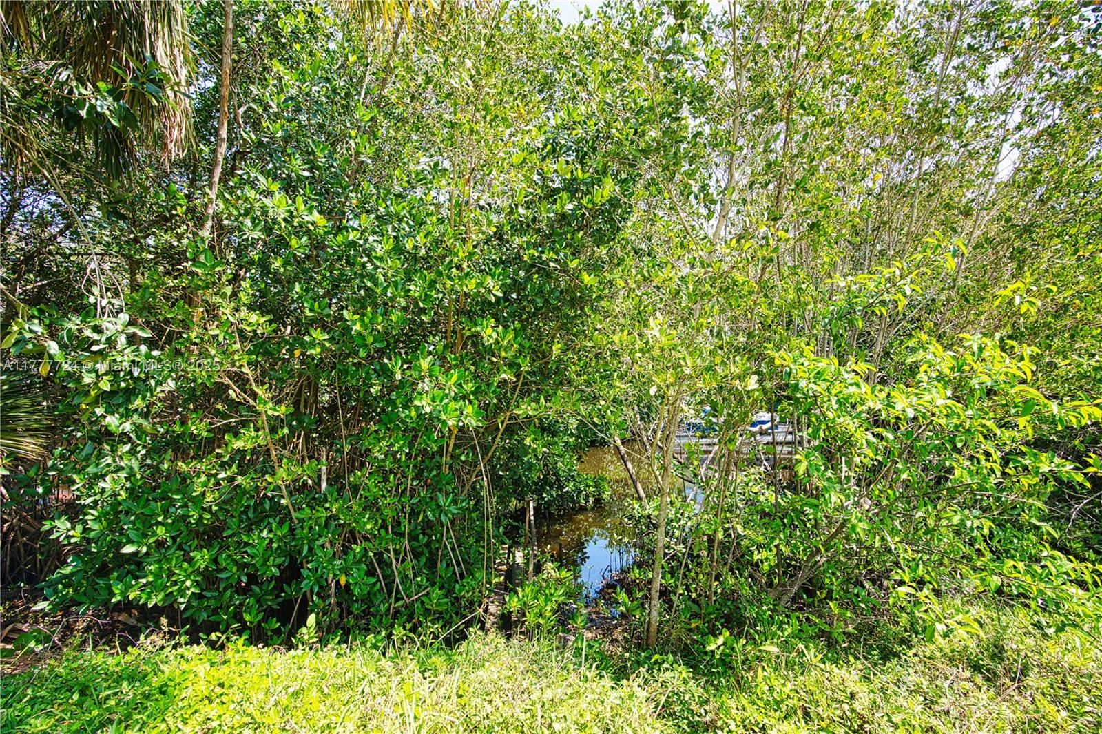 697 Pawnee Street Jupiter, FL 33458 - Photo 38 of 46 a view of a lush green forest