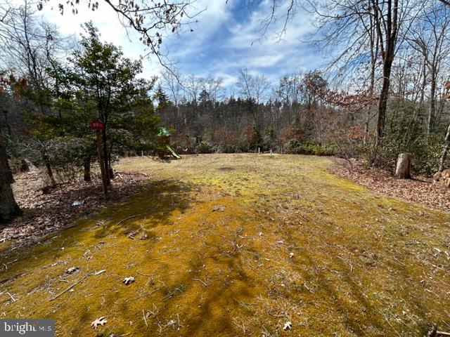 303 Three Bridge Road Monroeville, NJ 08343 - Photo 12 of 13 a view of a yard with trees