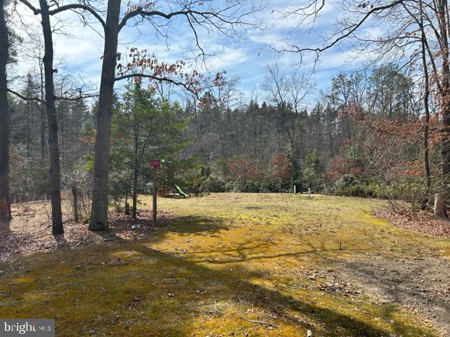 303 Three Bridge Road Monroeville, NJ 08343 - Photo 13 of 13 a view of a yard with a tree