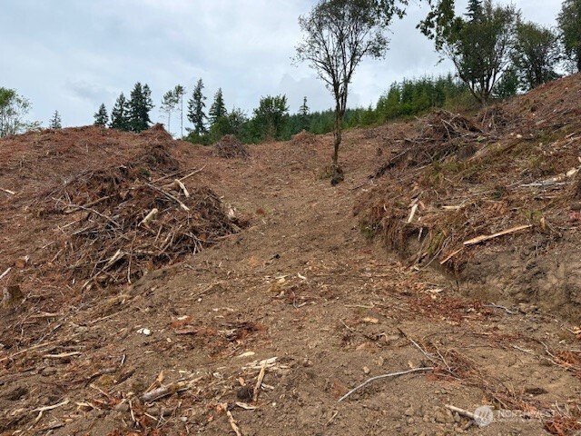 0 Garrard Creek Road Oakville, WA 98568 - Photo 11 of 11 a view of a dry yard with trees