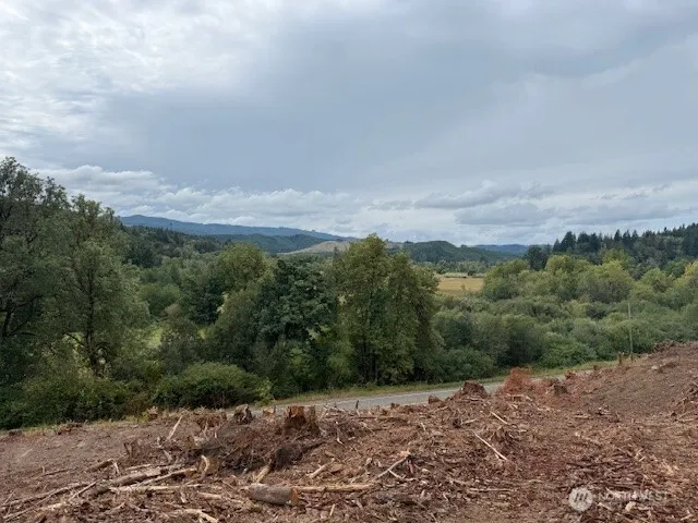 a view of a road with mountains in the background