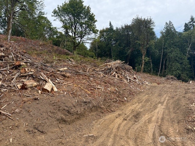 0 Garrard Creek Road Oakville, WA 98568 - Photo 5 of 11 a view of a dry yard with trees