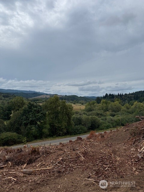 0 Garrard Creek Road Oakville, WA 98568 - Photo 7 of 11 a view of a field with an ocean