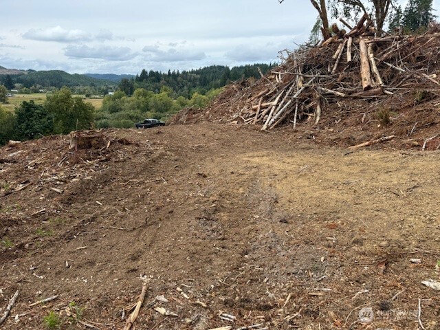 0 Garrard Creek Road Oakville, WA 98568 - Photo 8 of 11 a view of a dry yard with wooden fence