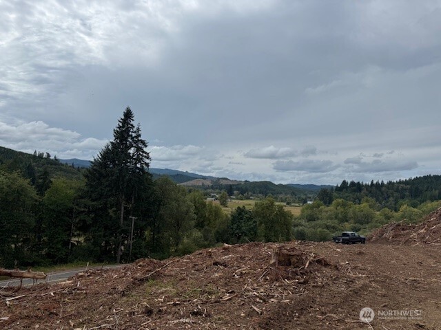 0 Garrard Creek Road Oakville, WA 98568 - Photo 9 of 11 a view of a dry yard with trees