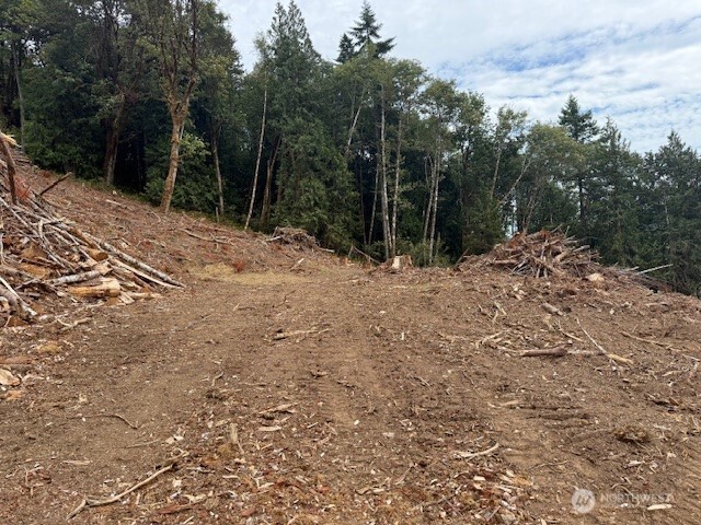0 Garrard Creek Road Oakville, WA 98568 - Photo 10 of 11 a backyard of a house with lots of green space