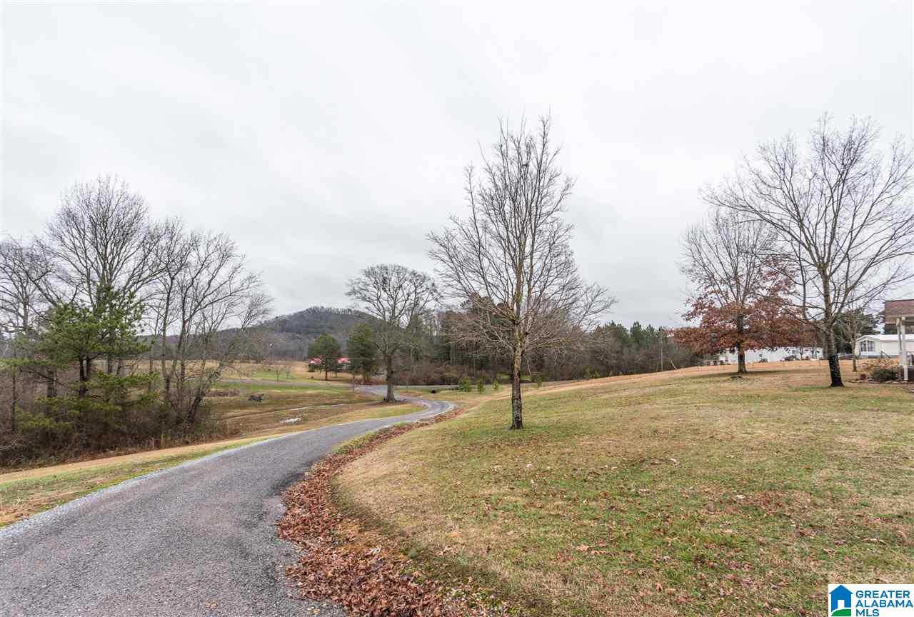 2245 Five Points Road Cleveland, AL 35049 - Photo 2 of 34