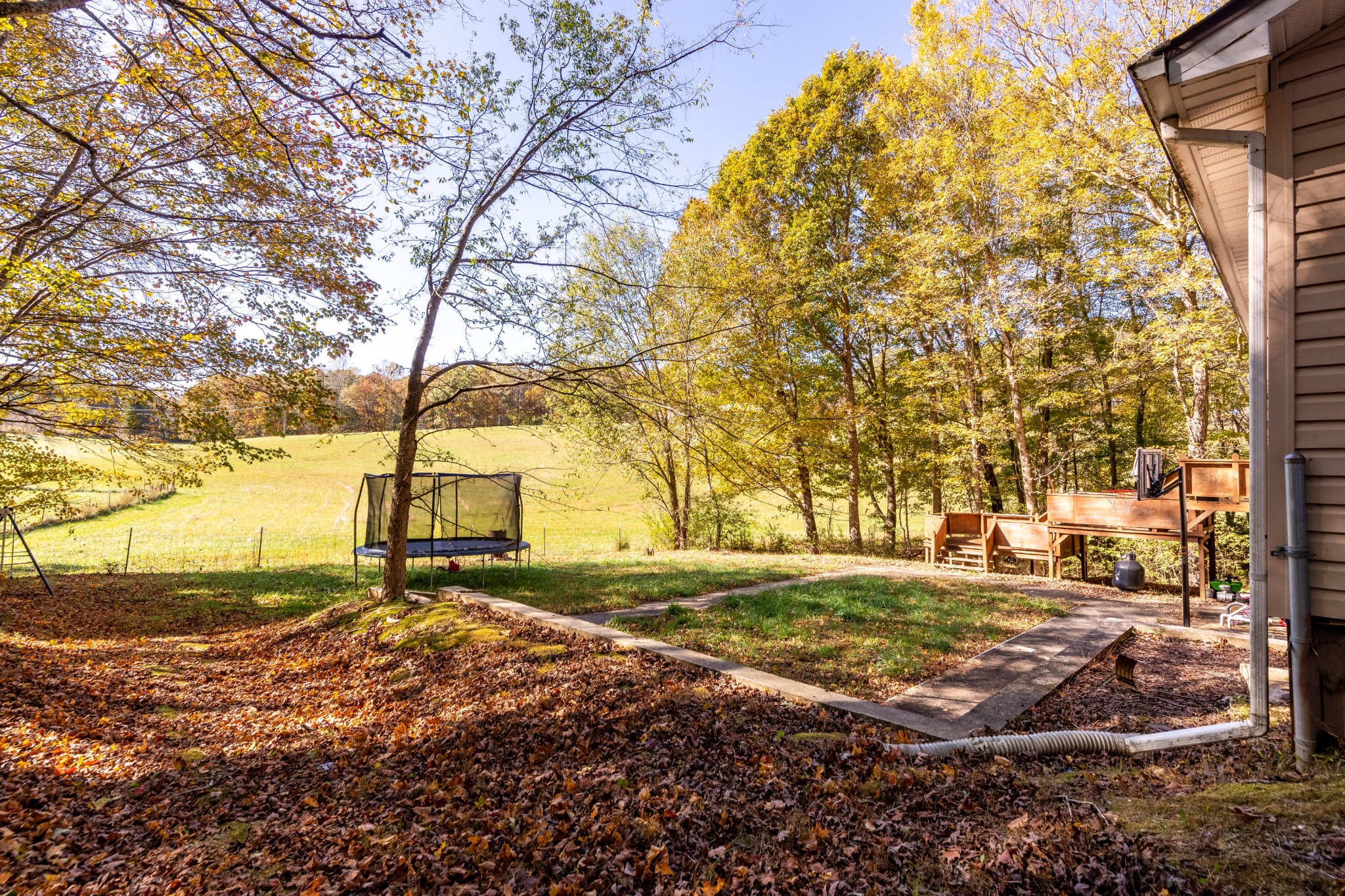 232 Pattie Gap Road Philadelphia, TN 37846 - Photo 31 of 31 a view of a yard with a large tree