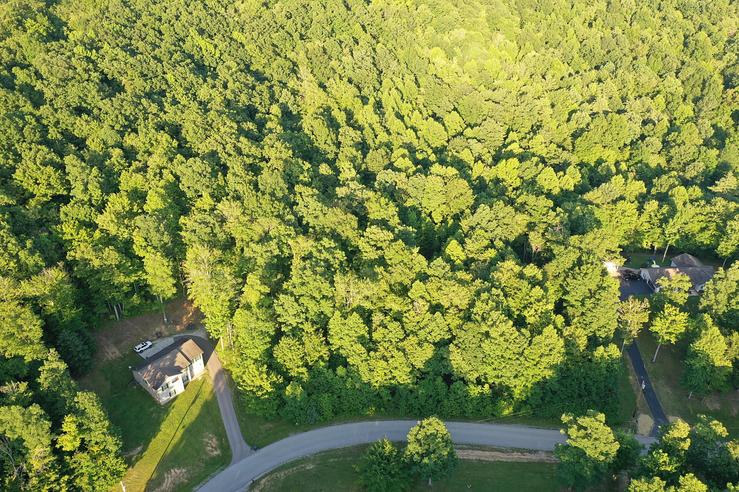 Chance Drive Oneida, TN 37841 - Photo 1 of 4 DJI_0826