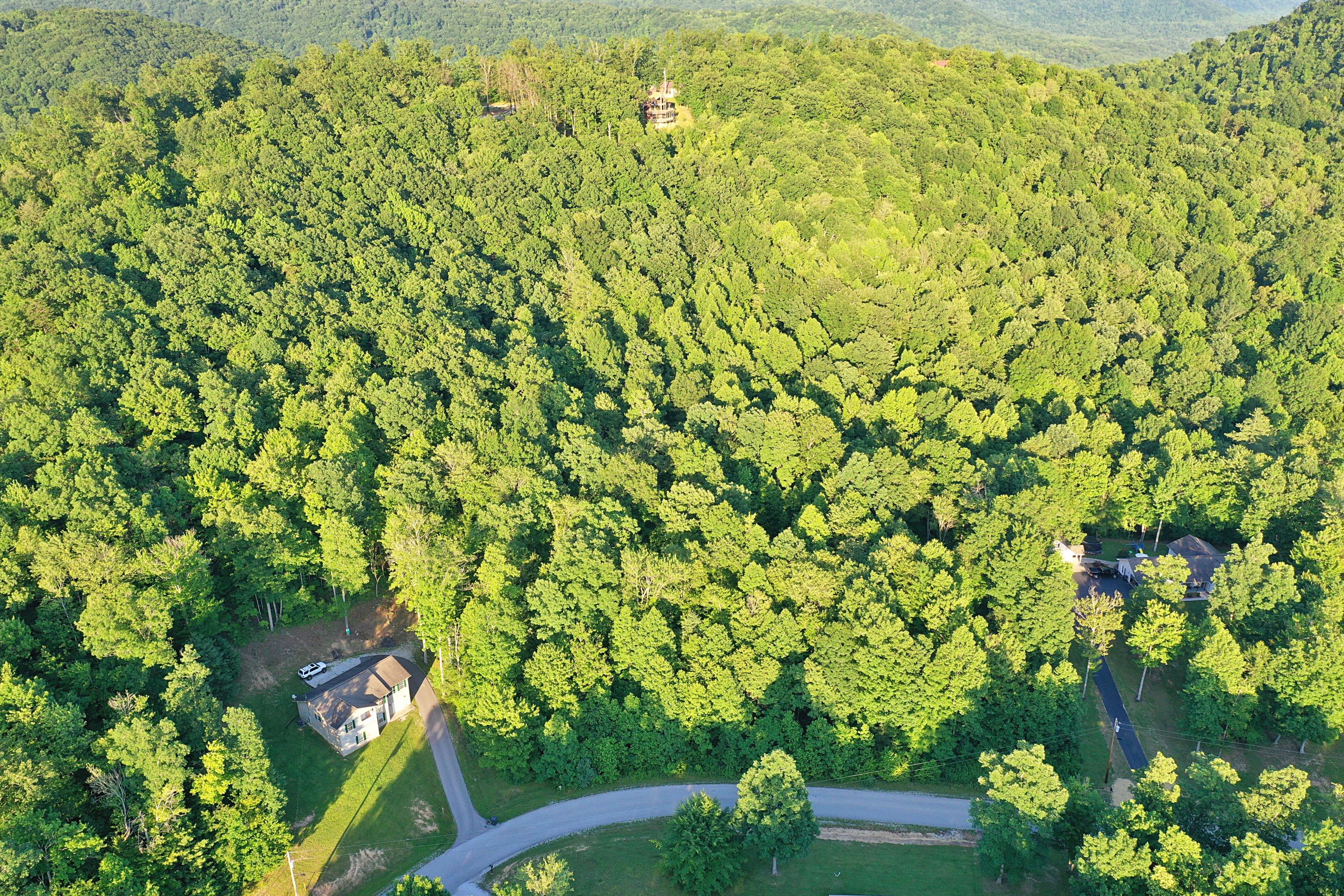 Chance Drive Oneida, TN 37841 - Photo 2 of 4 DJI_0827