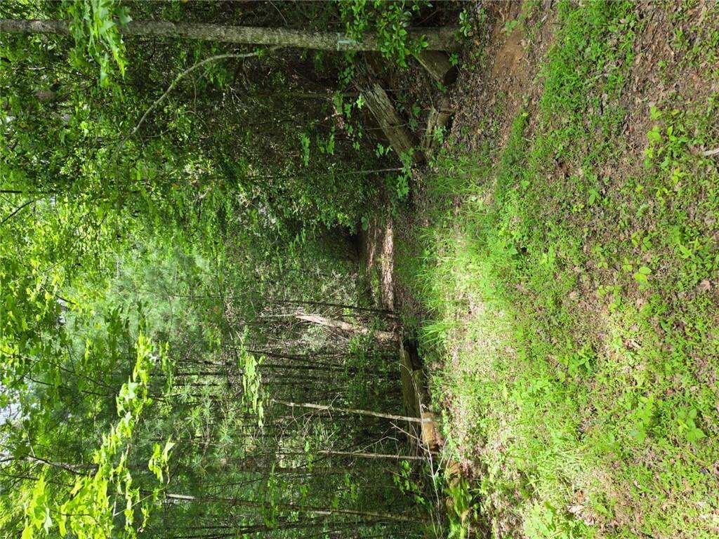 409 Harrison Sluder Road Ellijay, GA 30540 - Photo 22 of 33 a backyard of a house with lots of green space