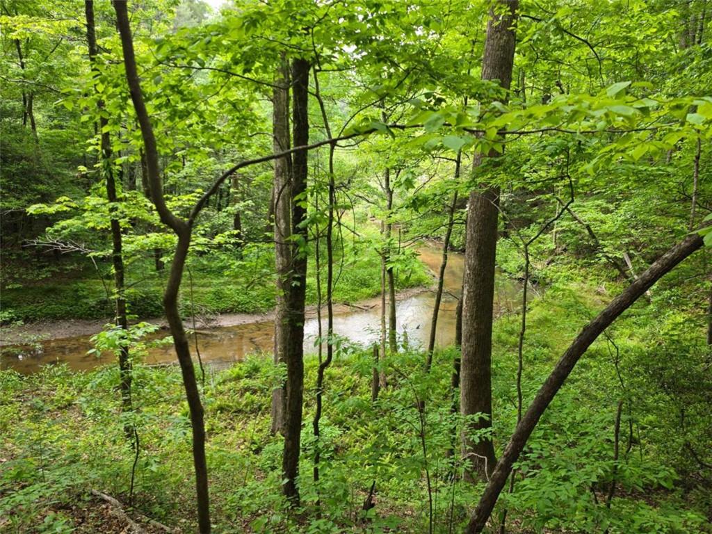 409 Harrison Sluder Road Ellijay, GA 30540 - Photo 24 of 33 a backyard of a house with lots of green space