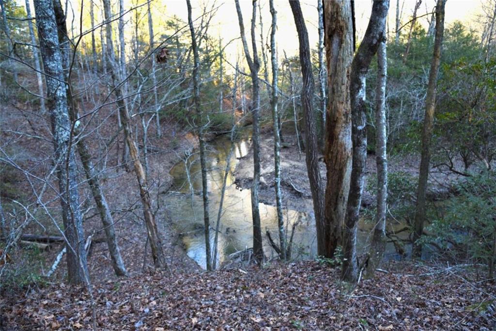 409 Harrison Sluder Road Ellijay, GA 30540 - Photo 33 of 33 a view of a forest filled with trees