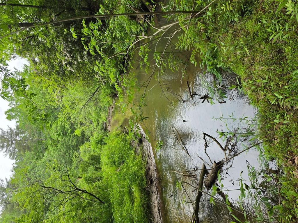 409 Harrison Sluder Road Ellijay, GA 30540 - Photo 5 of 33 a view of a lake from a yard