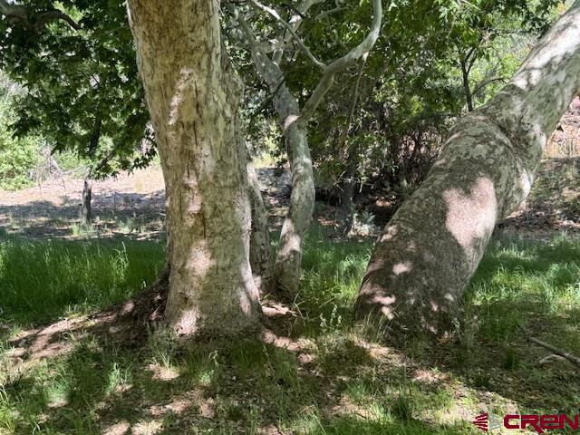 125 Deep Creek Ranch Road, Unit DEEP CREEK RANCH Glenwood, NM 88039 - Photo 13 of 34