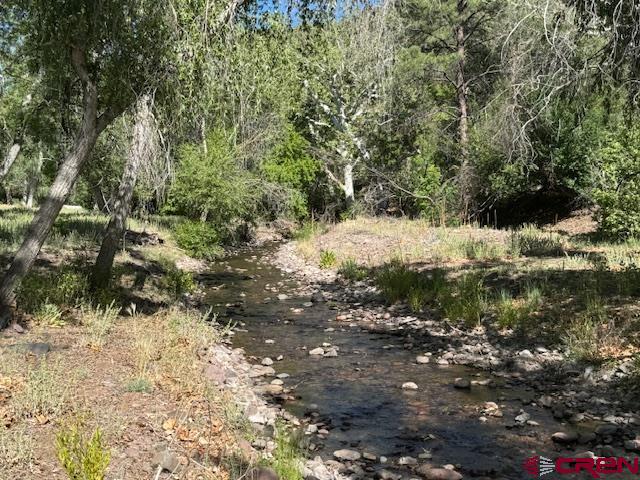 125 Deep Creek Ranch Road, Unit DEEP CREEK RANCH Glenwood, NM 88039 - Photo 14 of 34