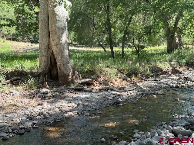 125 Deep Creek Ranch Road, Unit DEEP CREEK RANCH Glenwood, NM 88039 - Photo 16 of 34