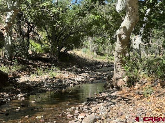 125 Deep Creek Ranch Road, Unit DEEP CREEK RANCH Glenwood, NM 88039 - Photo 17 of 34